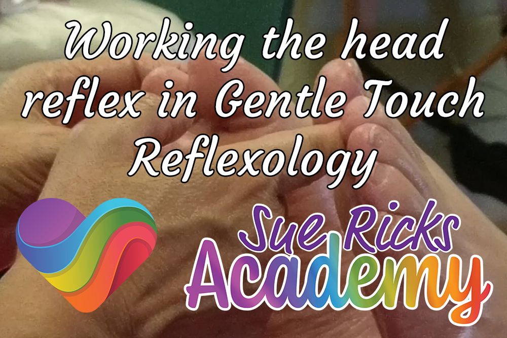 Working the head reflex in Gentle Touch Reflexology